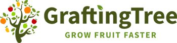 Grafting Tree